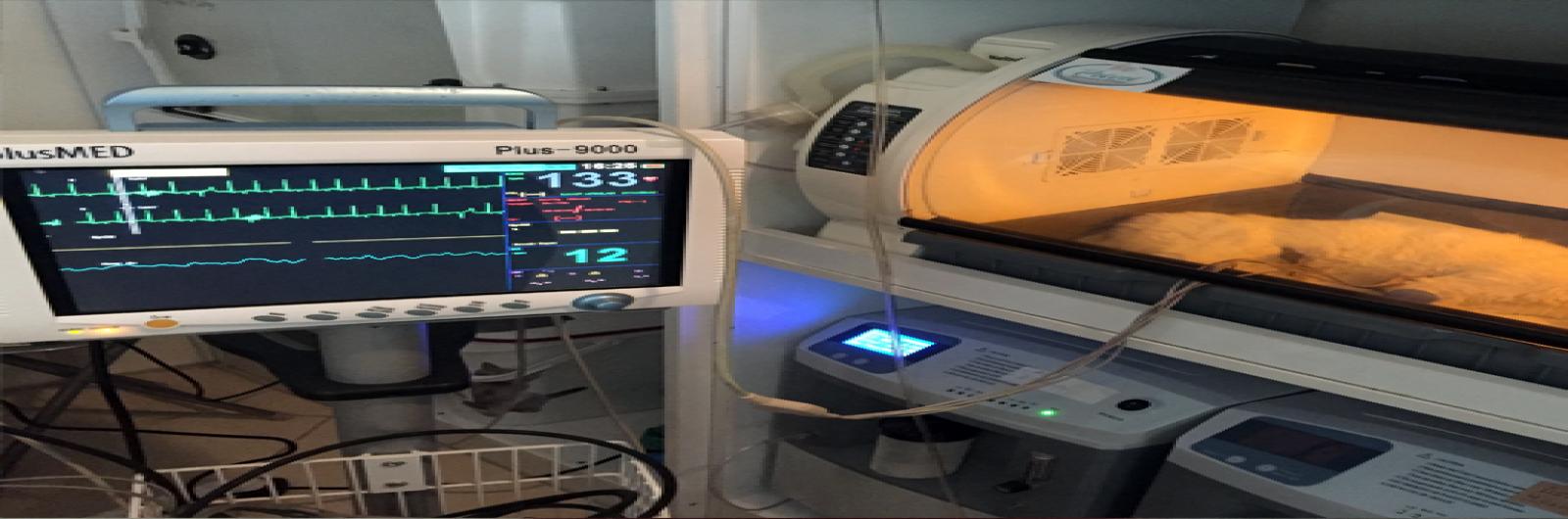 YOĞUN BAKIM HİZMETİ Pi Veteriner Kliniği